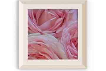 Julia Thomsen, Romantic Embrace