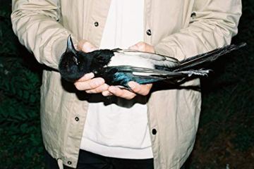 Sam Fender, Dead Boys (EP) [📷: Polydor]